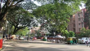 Nellikunnu