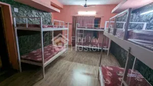 Olive Girls Hostel in Kadavanthra, Ernakulam — photo 4